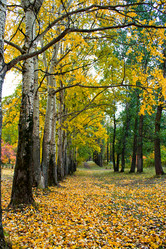 Similar image 1546518