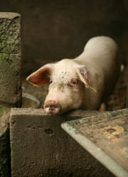 Similar image 1546540