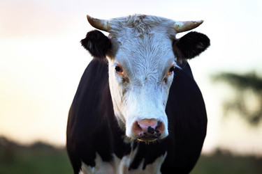 Similar image 1546543