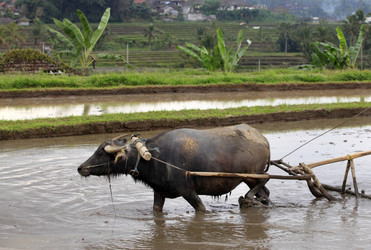 Similar image 1546549