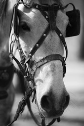 Similar image 1546550