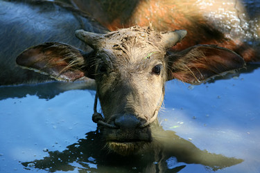 Similar image 1546552