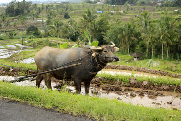 Similar image 1546553