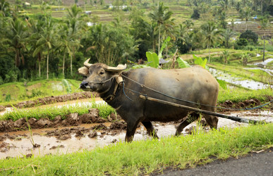 Similar image 1546554