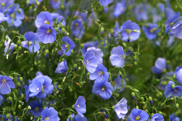 Similar image 1546562