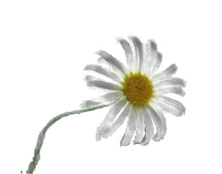 Similar image 1546568