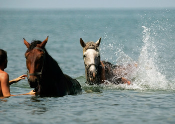 Similar image 1546570