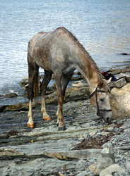 Similar image 1546573