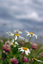 Similar image 1546575