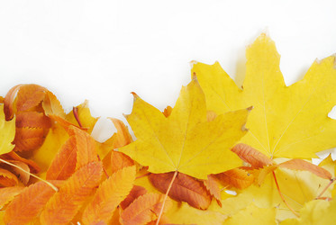 Similar image 1546630