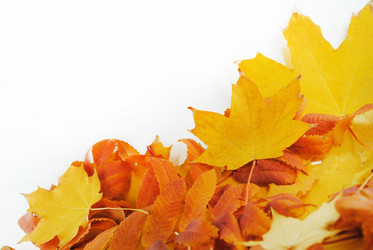 Similar image 1546631