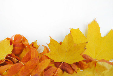 Similar image 1546634