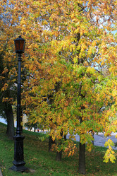 Similar image 1546693