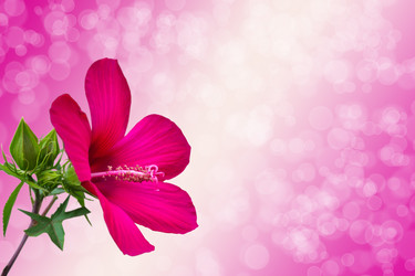 Similar image 1546694