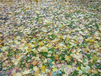 Similar image 1546696