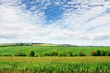 Similar image 1546716