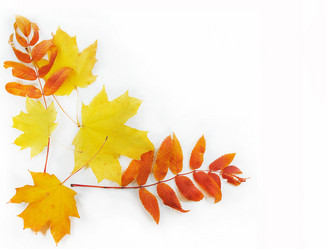 Similar image 1546718