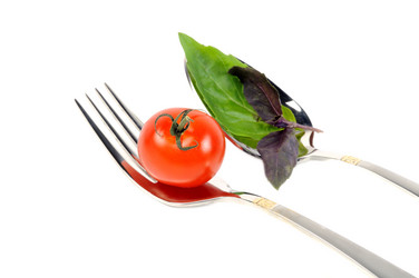 Similar image 1546719