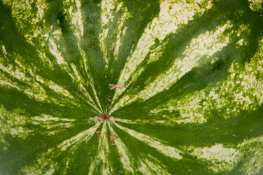 Similar image 1547055