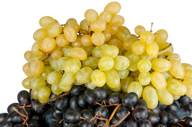 Similar image 1547087