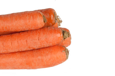 Similar image 1547100