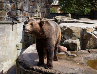 Similar image 1547232