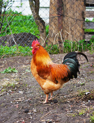 Similar image 1547244