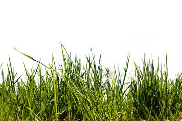 Similar image 1547245