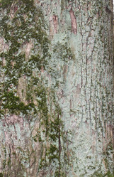 Similar image 1547315