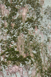 Similar image 1547316