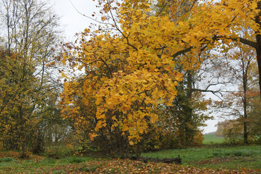 Similar image 1547317