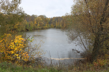 Similar image 1547331