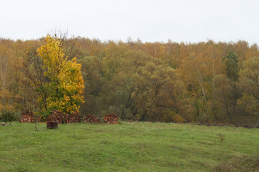 Similar image 1547332