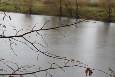 Similar image 1547338