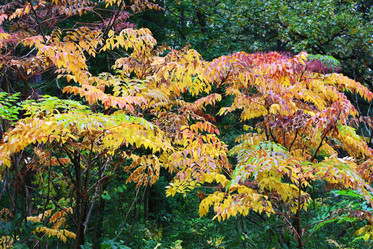 Similar image 1547619