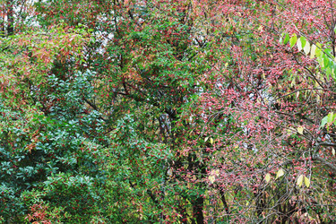 Similar image 1547660