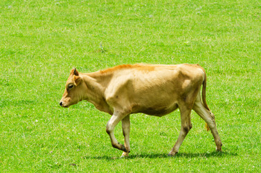 Similar image 1547759