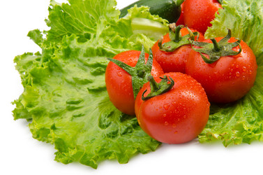 Similar image 1547940