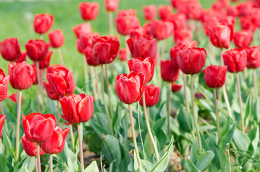 Similar image 1548095