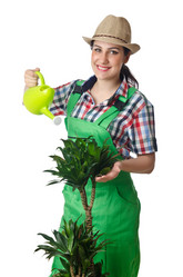 Similar image 1548140