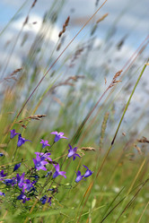 Similar image 1548181