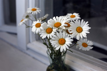 Similar image 1548200