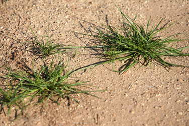 Similar image 1548206