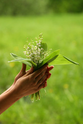 Similar image 1548208