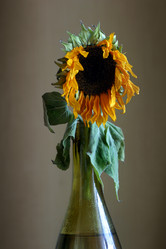 Similar image 1548210