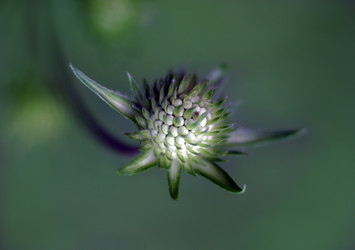 Similar image 1548211