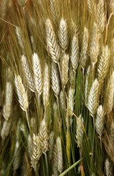 Similar image 1548218