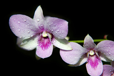 Similar image 1548220