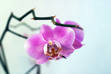 Similar image 1548221