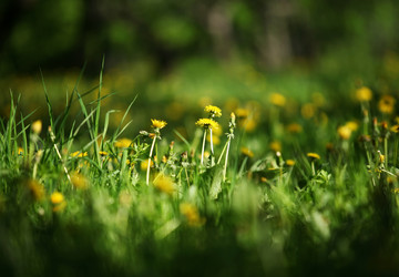 Similar image 1548228